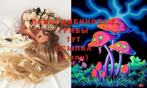 индика Армянск