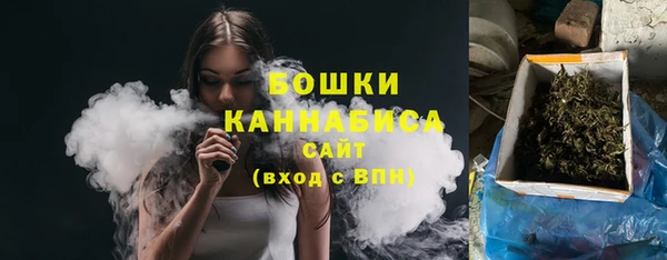 индика Армянск