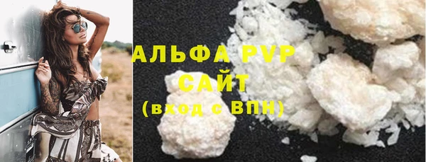 индика Армянск