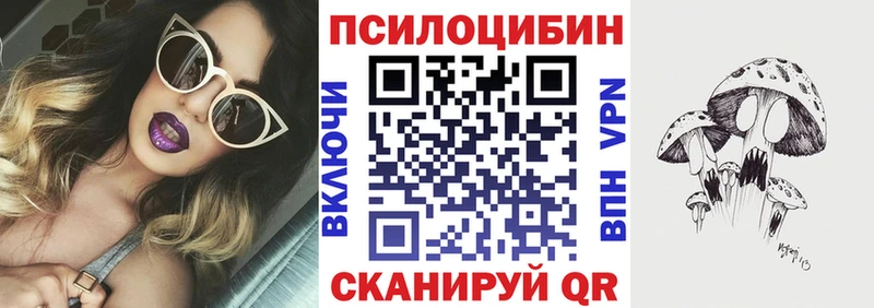 Псилоцибиновые грибы Psilocybine cubensis  Купить где  Аксай 
